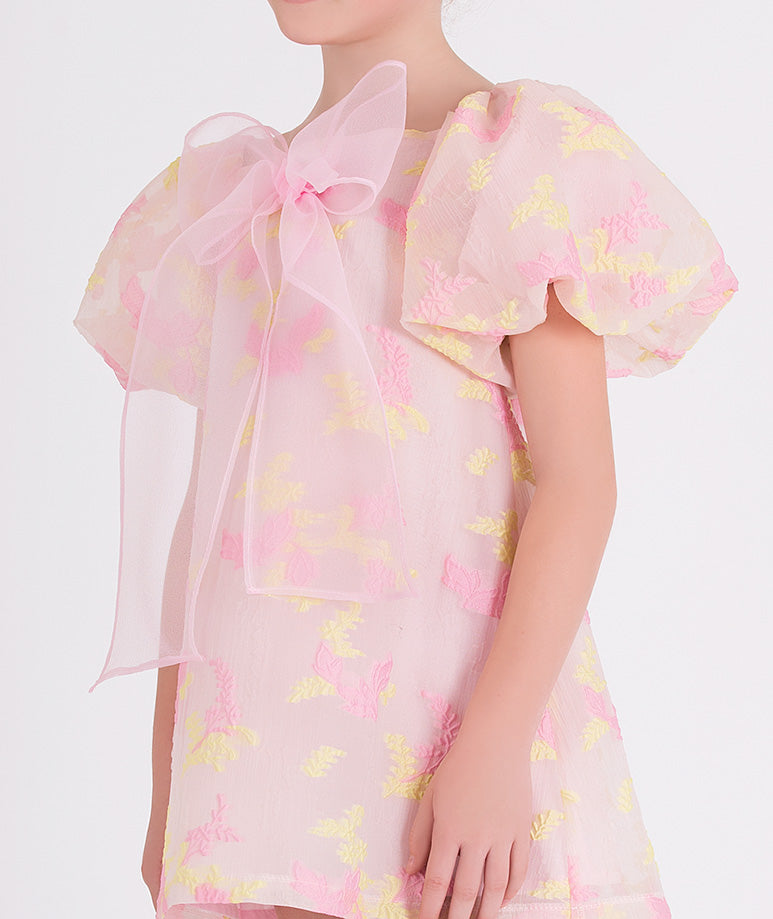 Enchanting Organza Dress