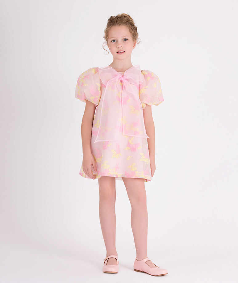 Enchanting Organza Dress