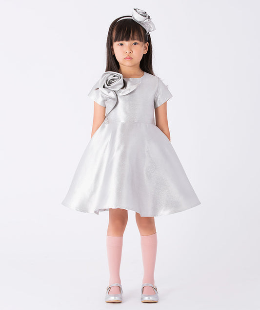 3D Applique Silver Girls Dress
