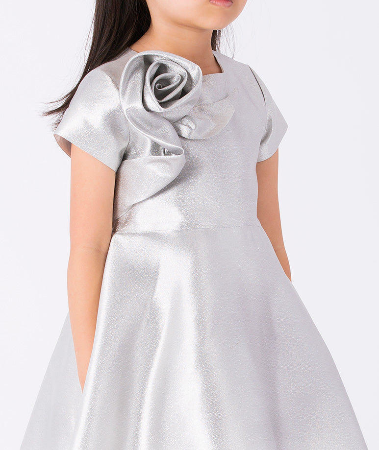 3D Applique Silver Girls Dress