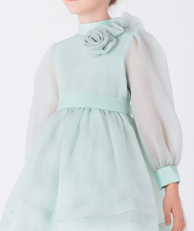 Exquisite Chiffon Girls Dress